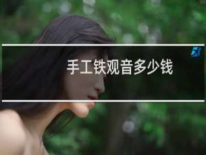 手工铁观音多少钱