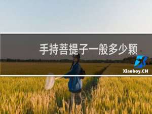 手持菩提子一般多少颗