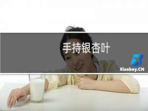 手持银杏叶