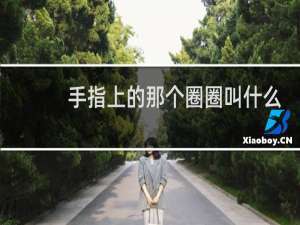 手指上的那个圈圈叫什么