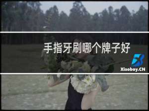 手指牙刷哪个牌子好