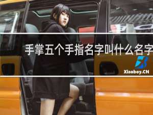 手掌五个手指名字叫什么名字