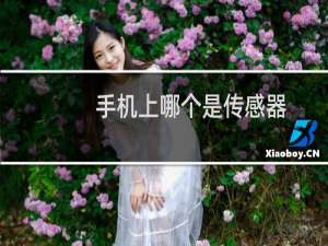 手机上哪个是传感器
