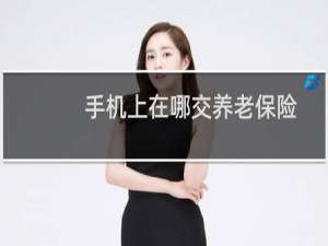 手机上在哪交养老保险