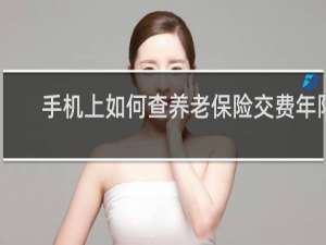 手机上如何查养老保险交费年限