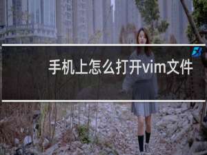 手机上怎么打开vim文件