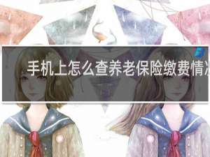 手机上怎么查养老保险缴费情况