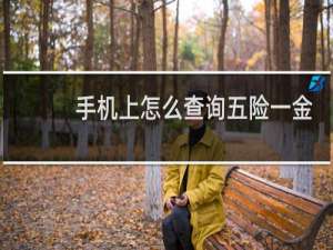 手机上怎么查询五险一金