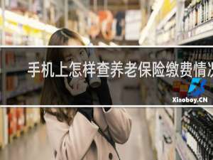 手机上怎样查养老保险缴费情况
