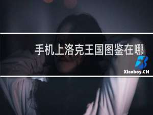 手机上洛克王国图鉴在哪