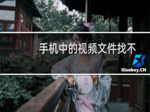 手机中的视频文件找不到了怎么办