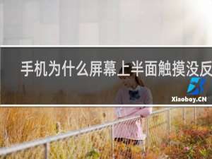 手机为什么屏幕上半面触摸没反应