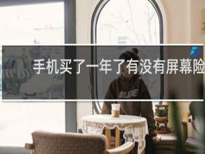 手机买了一年了有没有屏幕险