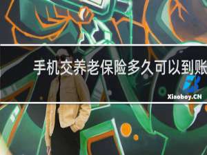 手机交养老保险多久可以到账