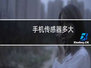 手机传感器多大