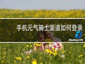 手机元气骑士渠道如何登录