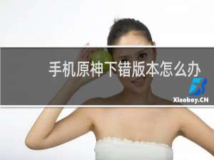 手机原神下错版本怎么办