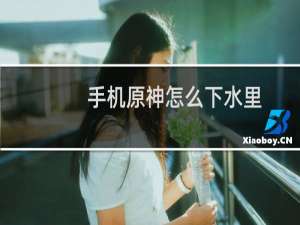 手机原神怎么下水里