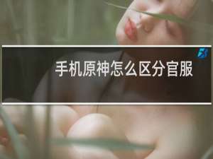 手机原神怎么区分官服