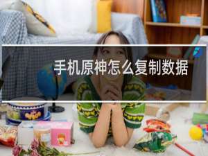 手机原神怎么复制数据