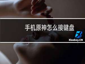 手机原神怎么接键盘