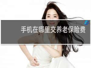 手机在哪里交养老保险费