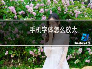 手机字体怎么放大（手机谜语）