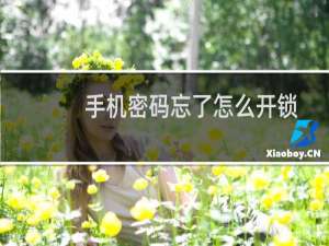 手机密码忘了怎么开锁