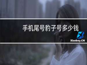 手机尾号豹子号多少钱