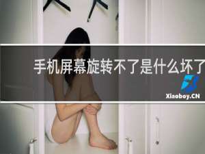 手机屏幕旋转不了是什么坏了