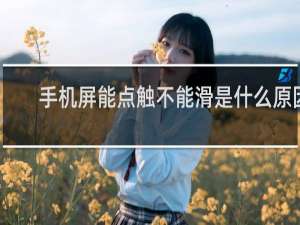 手机屏能点触不能滑是什么原因
