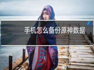 手机怎么备份原神数据