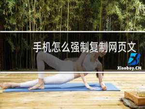 手机怎么强制复制网页文字