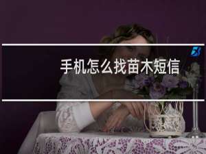 手机怎么找苗木短信
