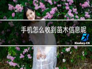手机怎么收到苗木信息呢