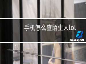 手机怎么查陌生人lol战绩