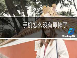 手机怎么没有原神了