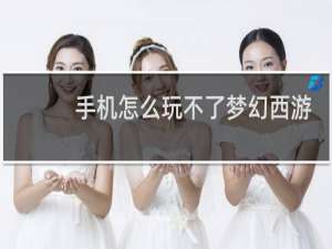 手机怎么玩不了梦幻西游
