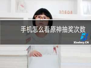 手机怎么看原神抽奖次数