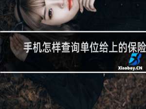 手机怎样查询单位给上的保险