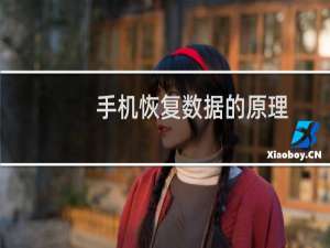 手机恢复数据的原理（手机数据防恢复方法有哪些）