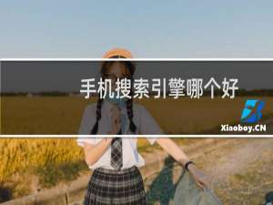 手机搜索引擎哪个好（手机浏览器搜索引擎哪个好）
