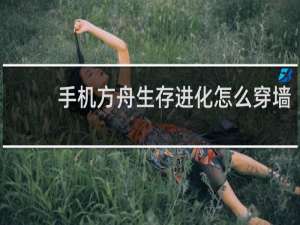 手机方舟生存进化怎么穿墙