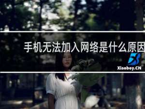 手机无法加入网络是什么原因