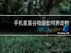 手机星露谷物语如何养动物