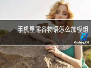 手机星露谷物语怎么加模组