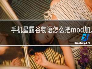 手机星露谷物语怎么把mod加入
