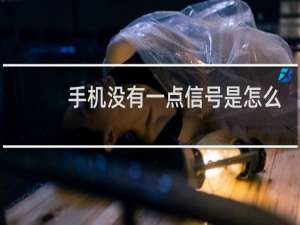 手机没有一点信号是怎么回事