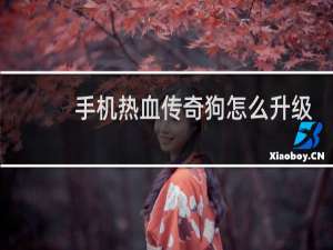 手机热血传奇狗怎么升级