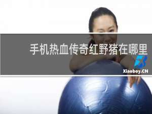 手机热血传奇红野猪在哪里